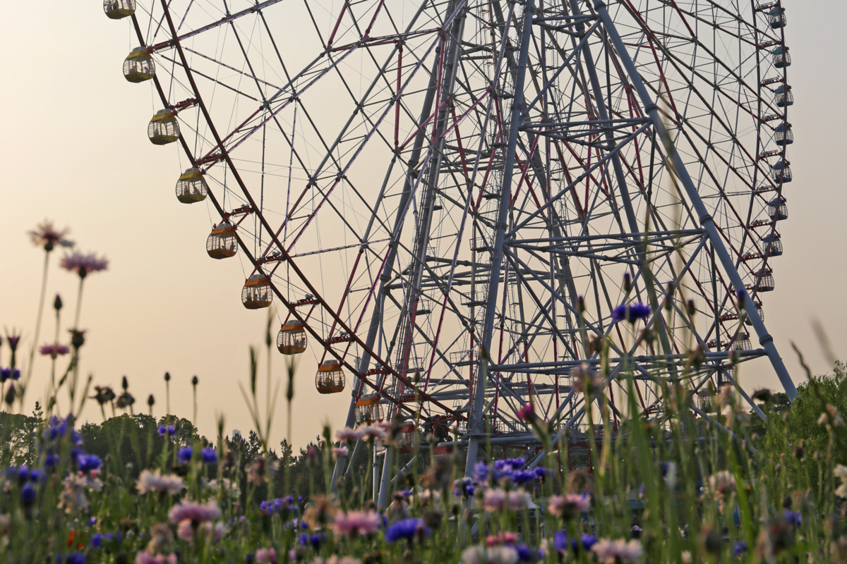 Tokyo Giant Ferris Wheel