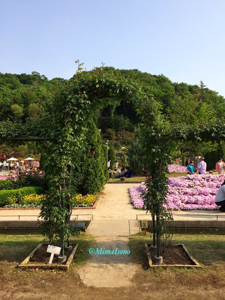 Ashikaga Flower Park