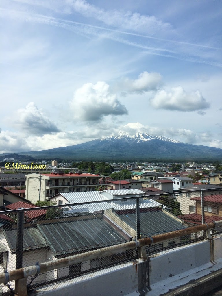 Fuji Shibazakura Matsuri