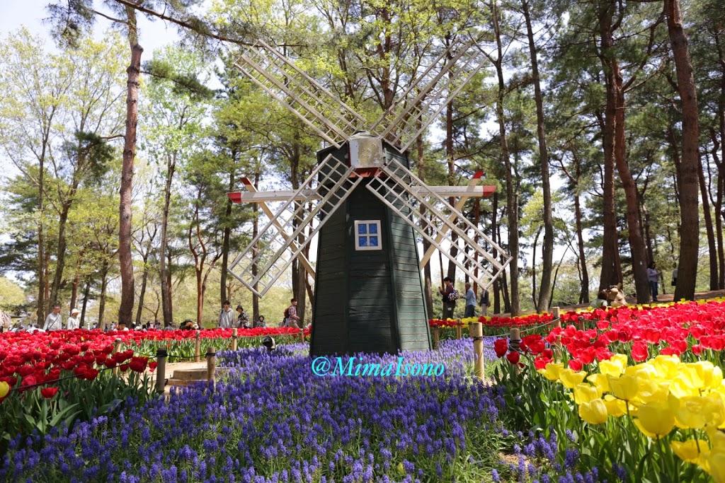 Hitachi Seaside Park in Spring