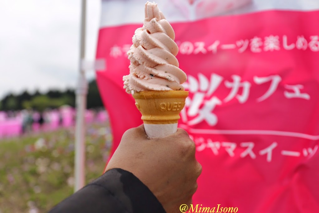 Fuji Shibazakura Matsuri