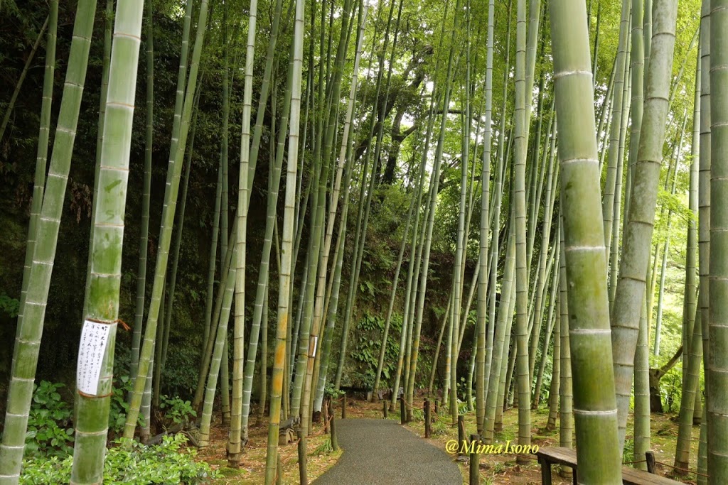 Kamakura