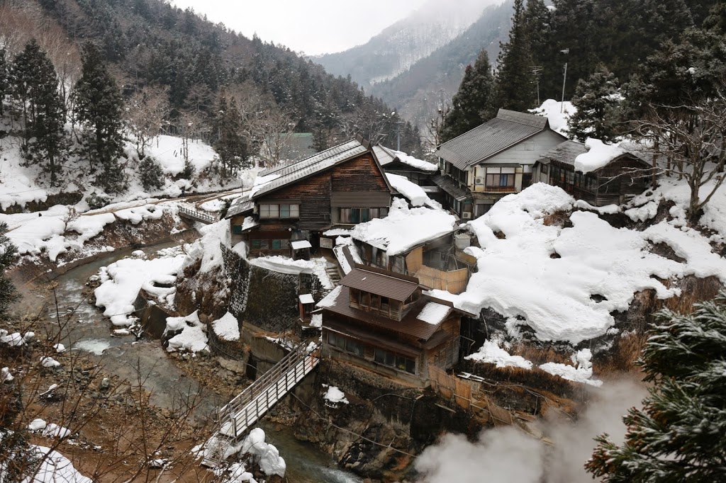 Jigokudani Yaen Park