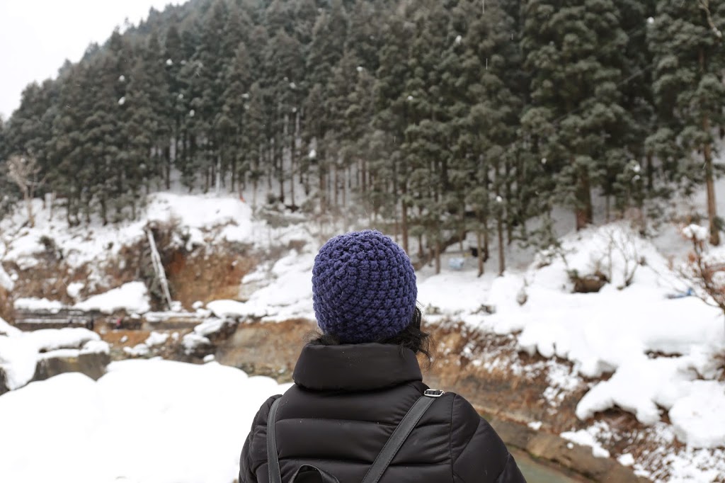 Jigokudani Yaen Park