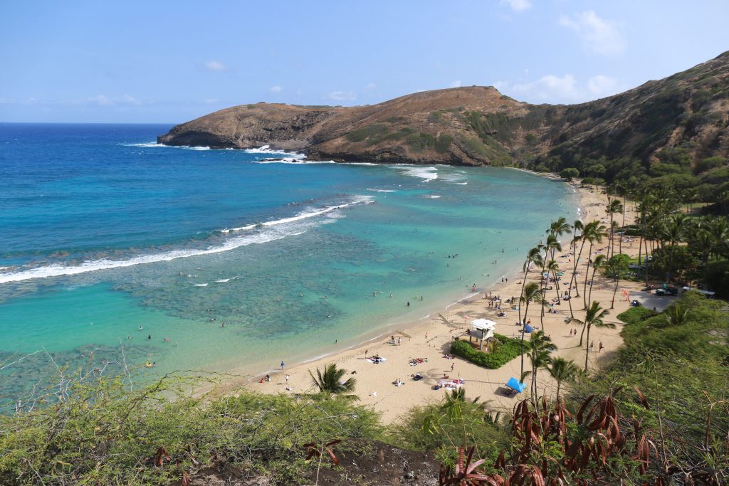 Hanauma Bay from top