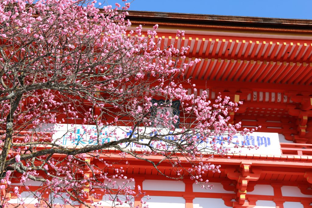 Kiyomizudera 2