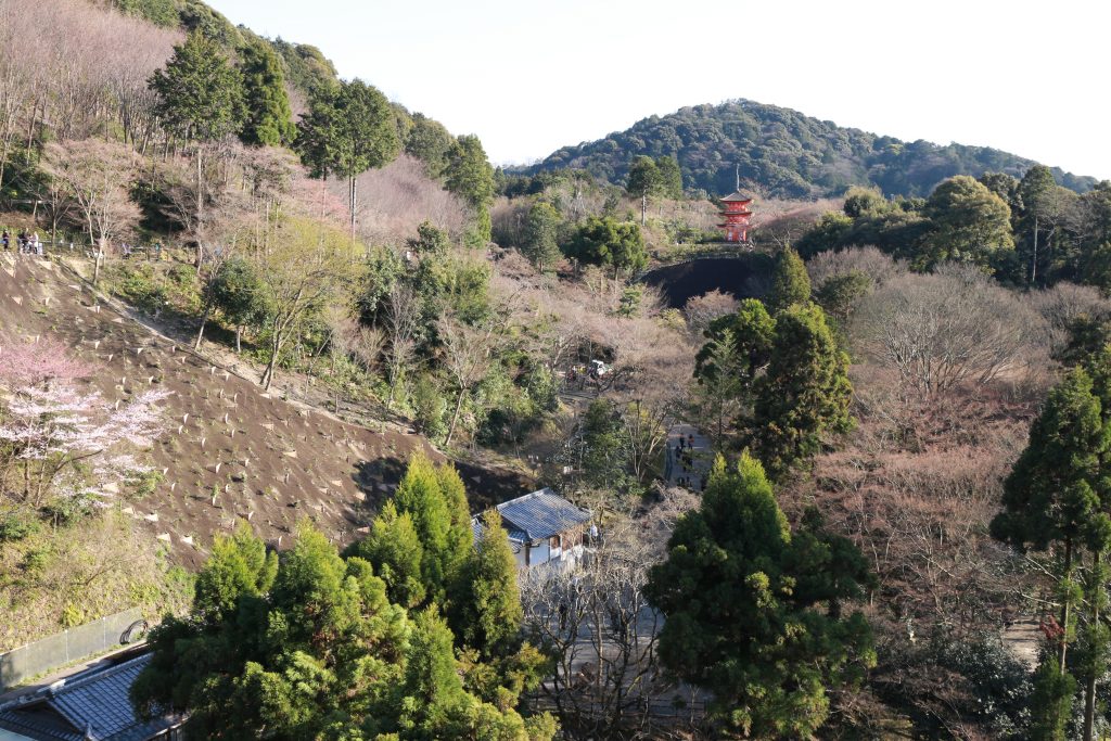 Kiyomizudera 4