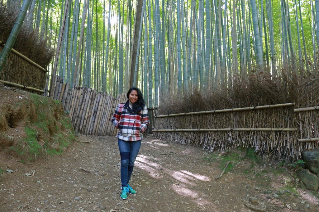 Bamboo Forrest