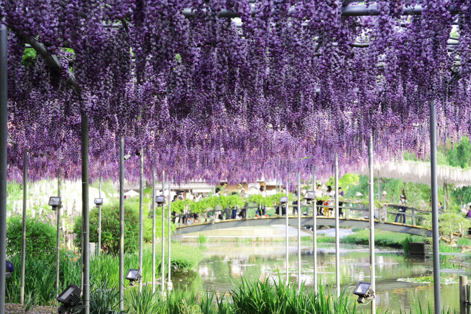 календарь 2023 японский сад фото