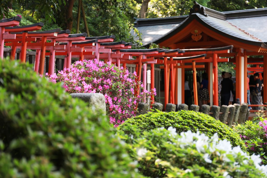 Nezu shrine 1