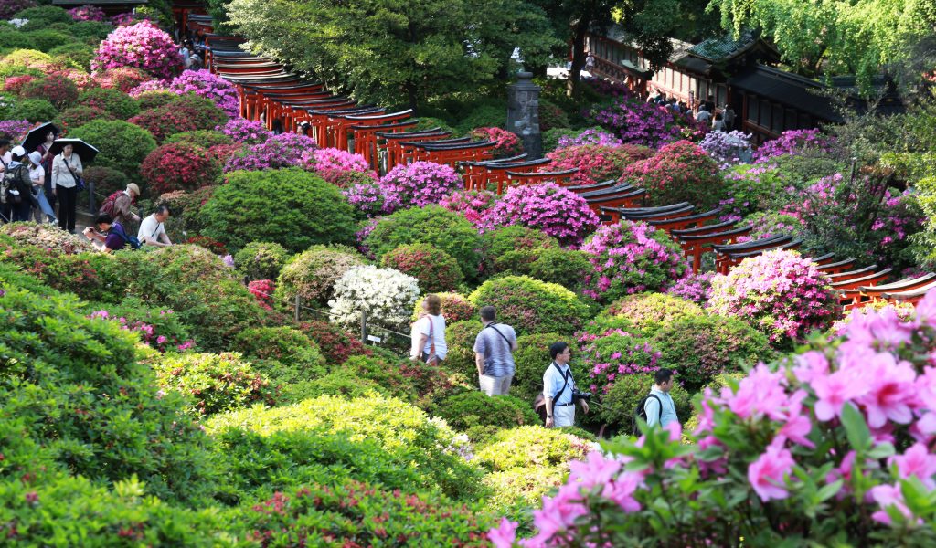 Nezu shrine 12