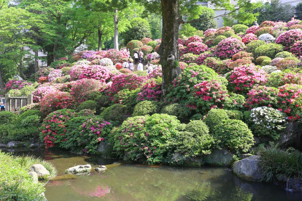 Nezu shrine 3