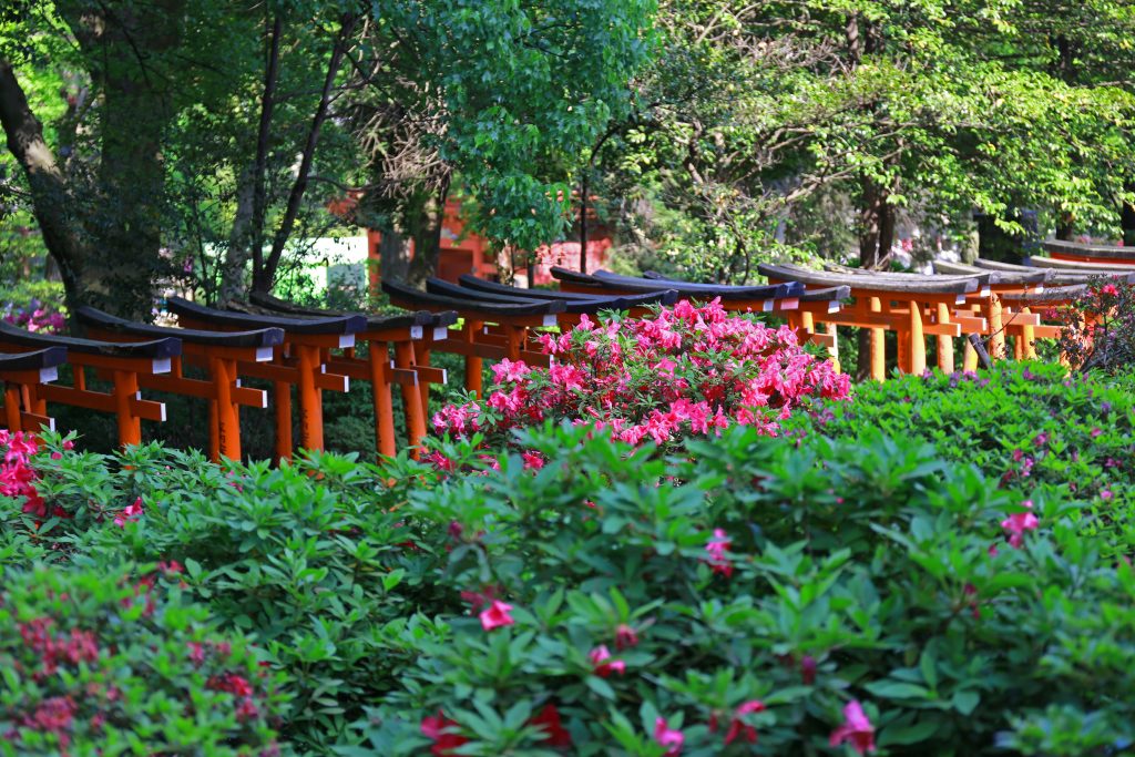 Nezu shrine 5