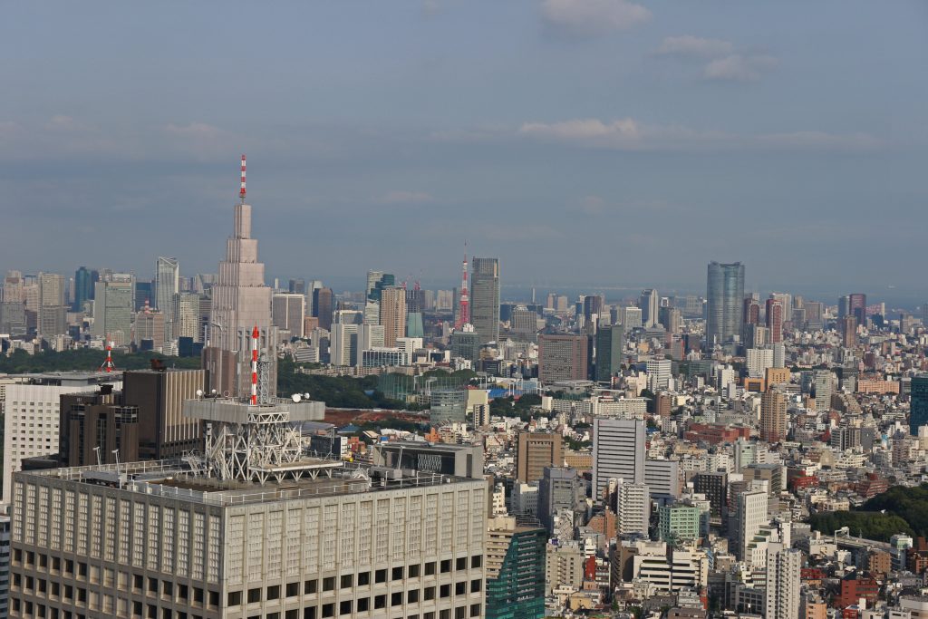 Shinjuku from Above