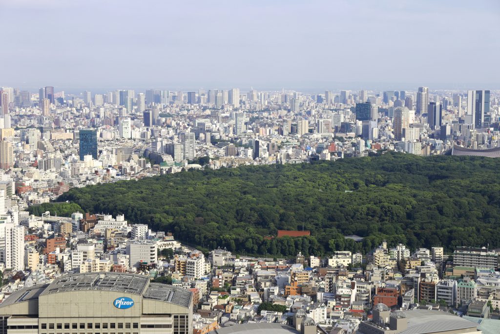 Tokyo from Metropolitan Government Builiding Shinjuku