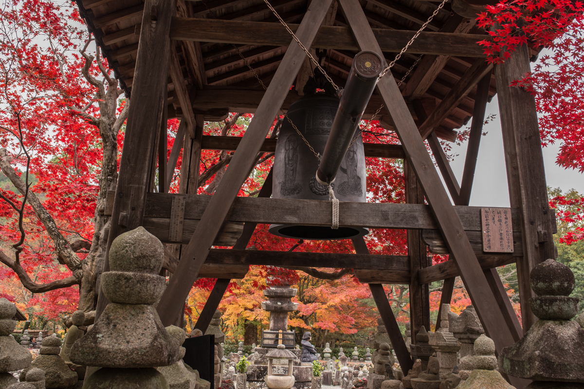 Autumn Foliage in Kyoto: Adashino Nenbutsu-ji