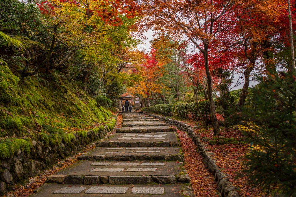 Kyoto Bamboo Grove: Adashino Nenbutsuji | TiptoeingWorld