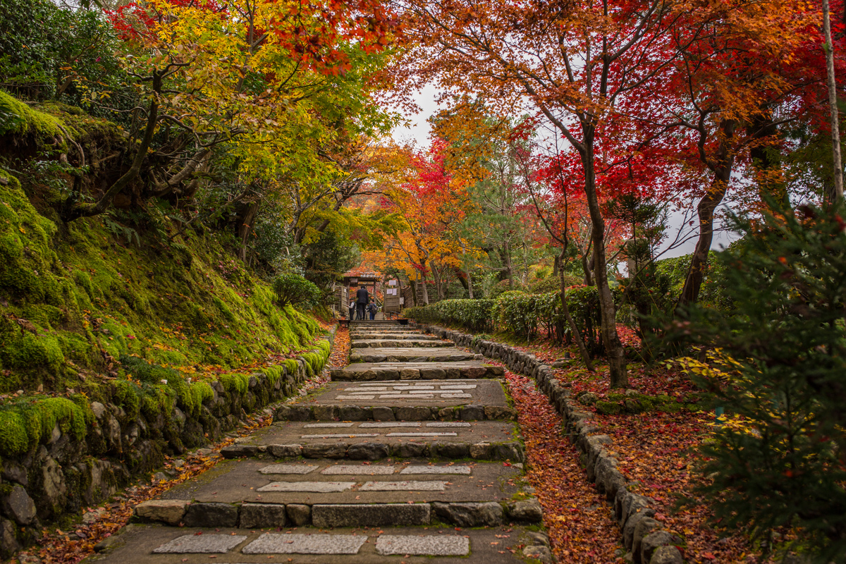 Kyoto Bamboo Grove Adashino Nenbutsuji Tiptoeingworld