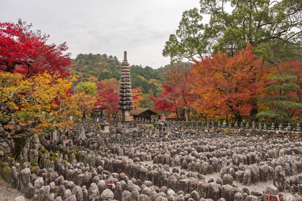 Kyoto Bamboo Grove: Adashino Nenbutsuji | TiptoeingWorld