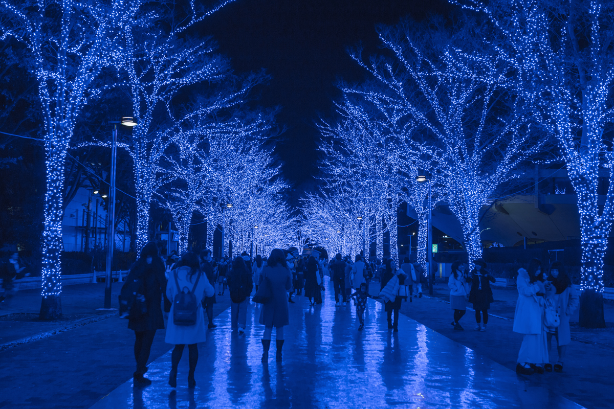 8 Best Illumination Spots in Tokyo | TiptoeingWorld