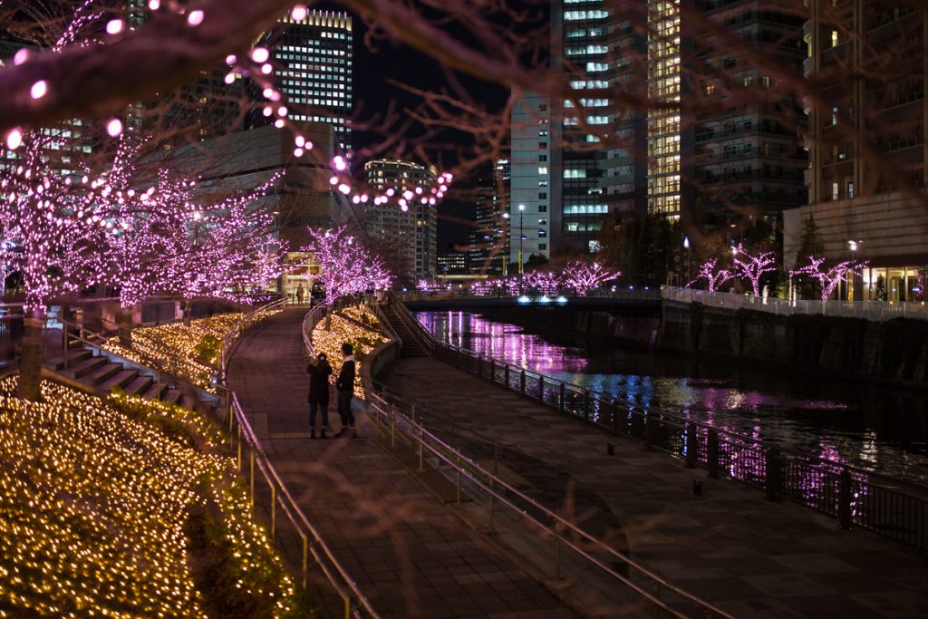 8 Best Illumination Spots in Tokyo | TiptoeingWorld