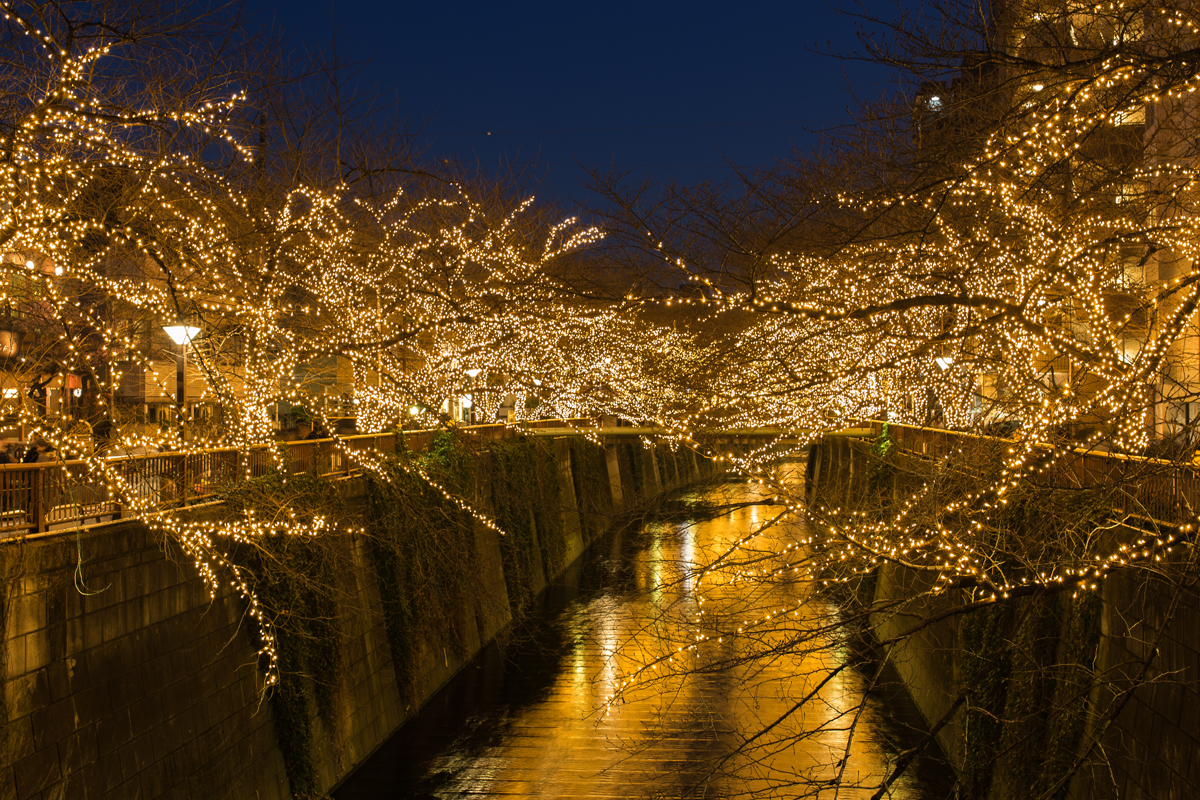 Illumination Meguro River