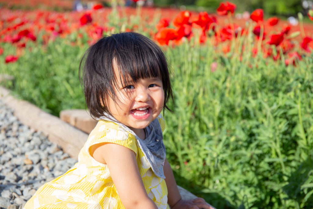 Hanna Poppies