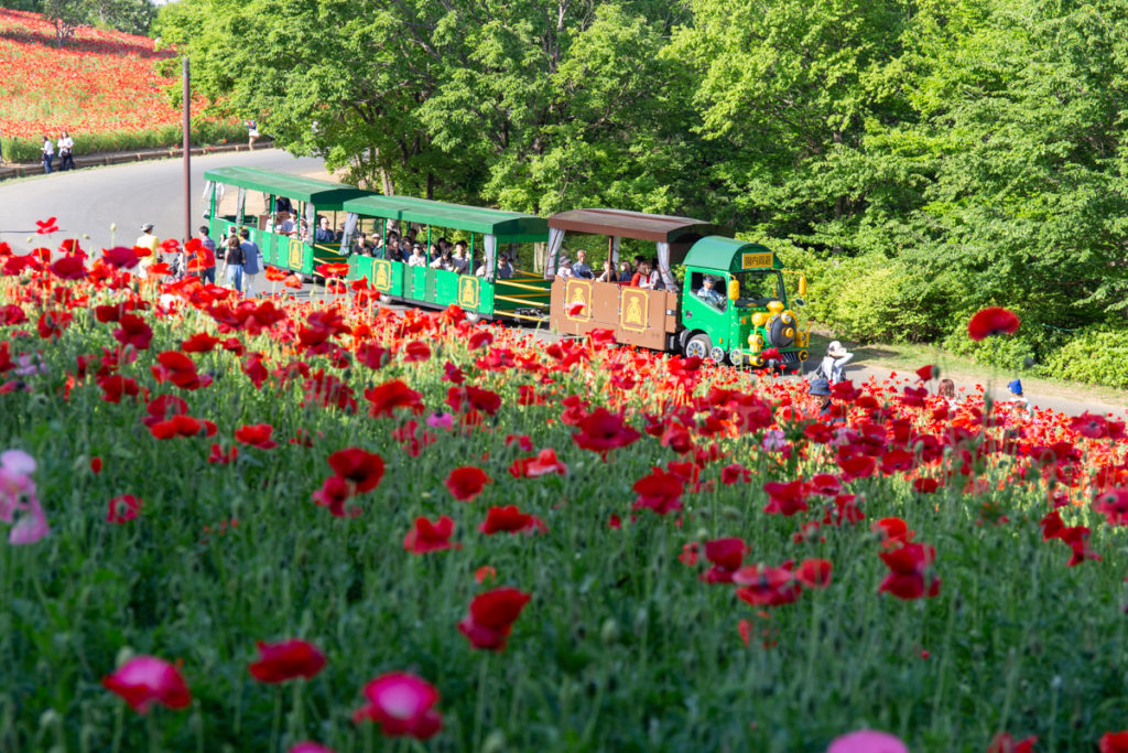 Park Train Showa Kinen Park