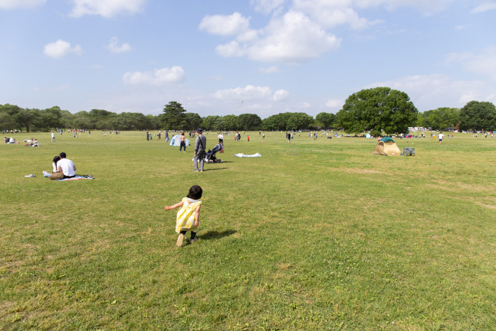 Showa Kinen Koen Field