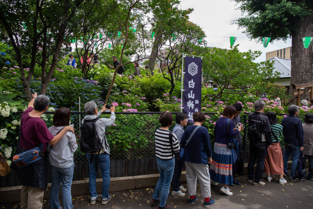 Fujizuka Hill Hakusan Tokyo