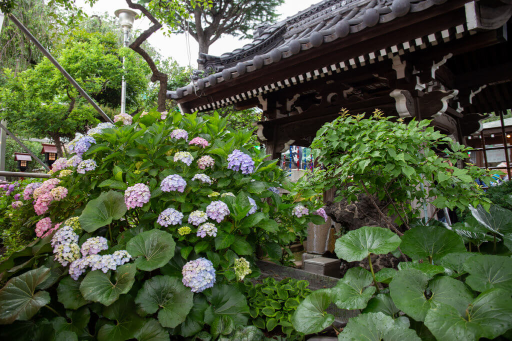 Hakusan Shrine