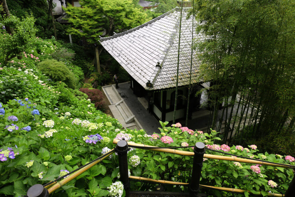 Kamakura Hasedera Temple