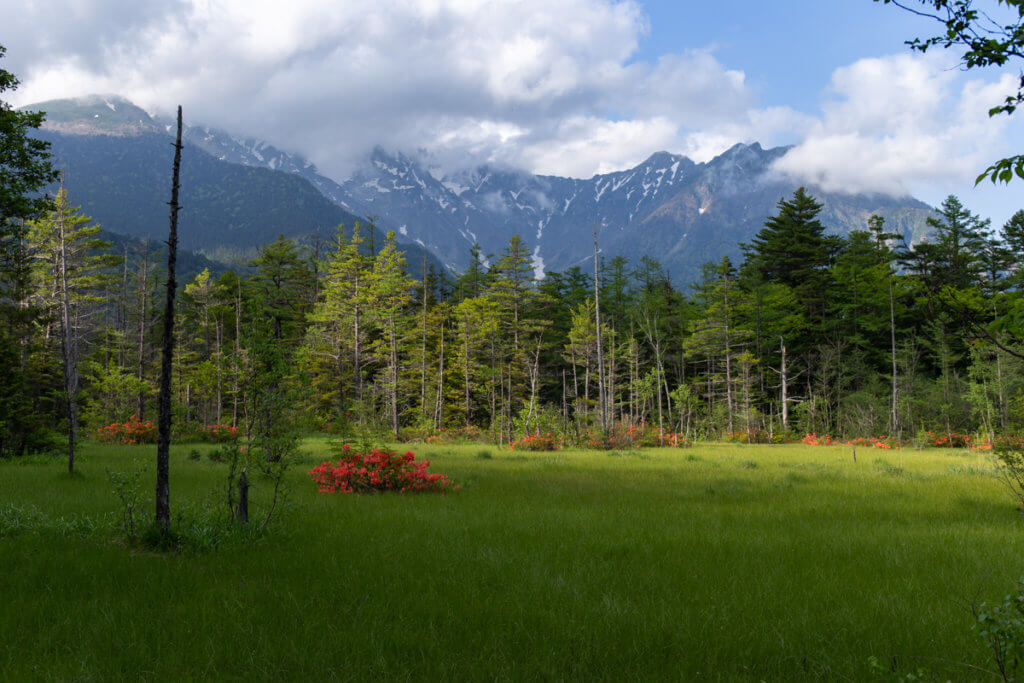 Tashiro Marshland