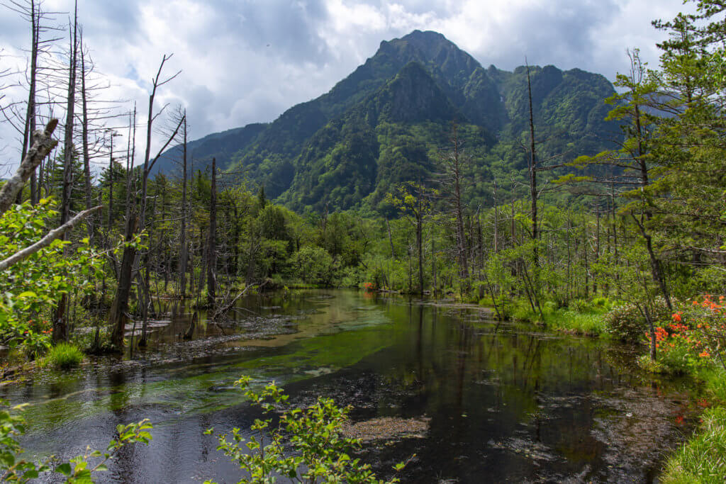 Dakesawa Bataklığı Kamikochi