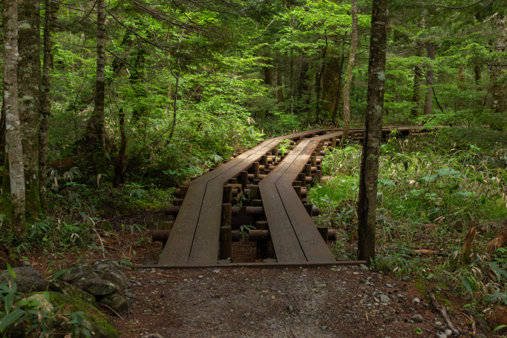 Kamikochi'deki yol