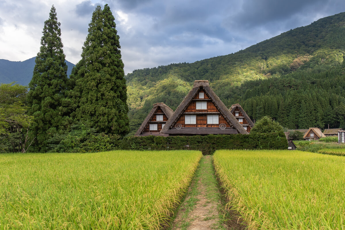 The Best Time to Visit Shirakawago : Summer or Winter? | TiptoeingWorld