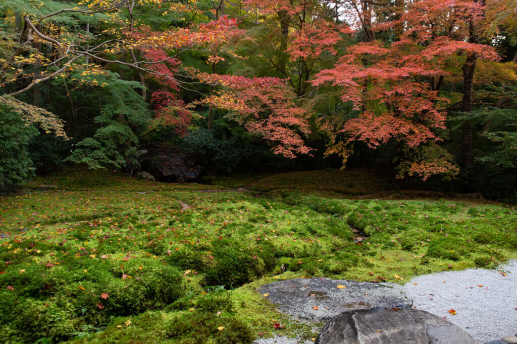 Rurikoin Garden