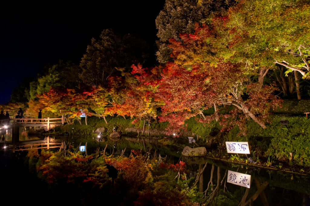 Autumn Foliage Nabana no Sato