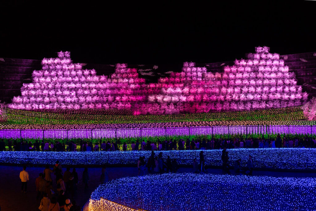 Nabana no Sato 2019 Illumination