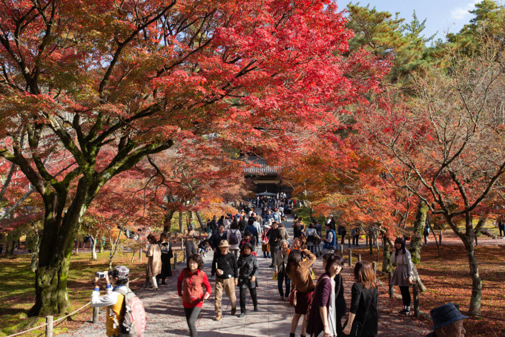 Nanzenji Crowd in Autumn