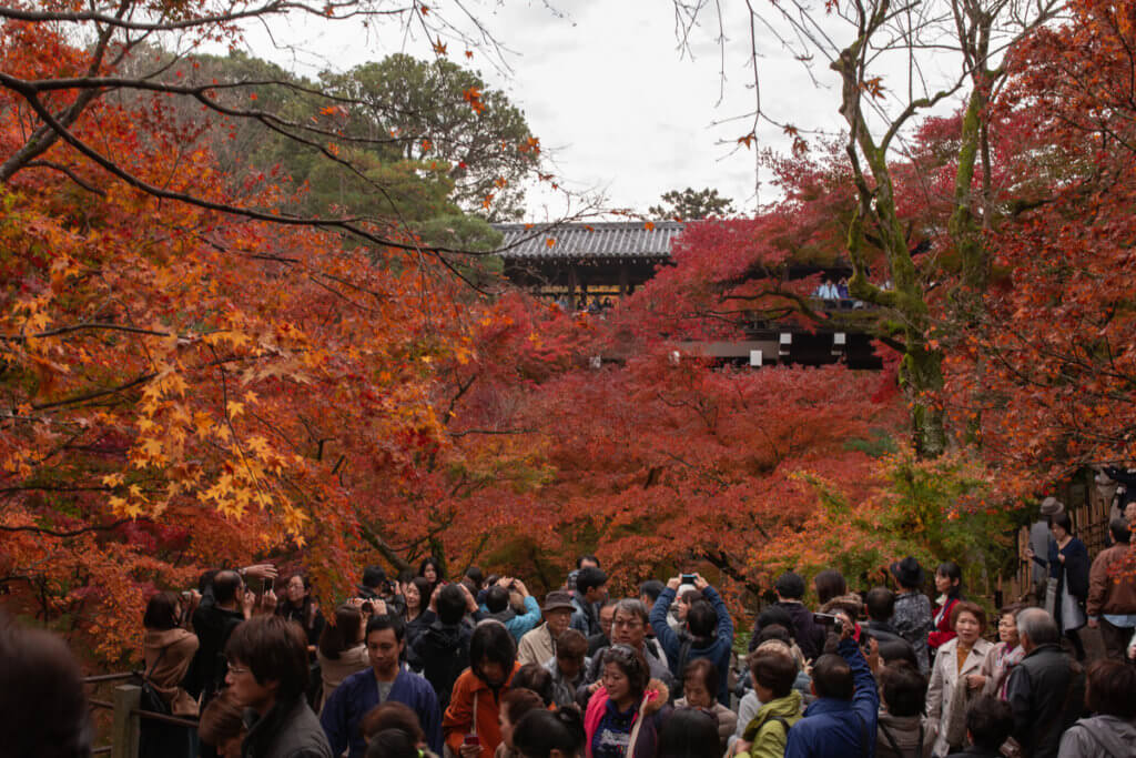 Tofukuji Crowd